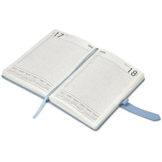 Altitude Enterprise A5 2026 Diary Page A Day Entries